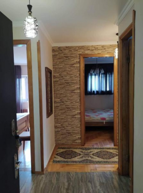 Comfortable flat in Batumi